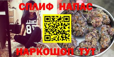 ешки Тара