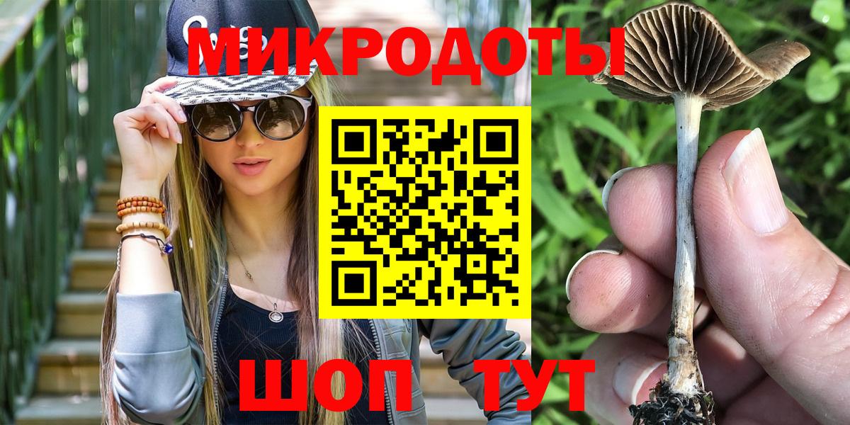 Галлюциногенные грибы Psilocybine cubensis Можайск